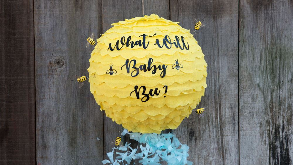 "What Will Baby Bee" Gender Reveal Pinata