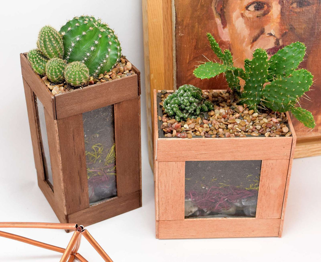 How to Glue Wood to Glass - Simple Cactus Terarriums