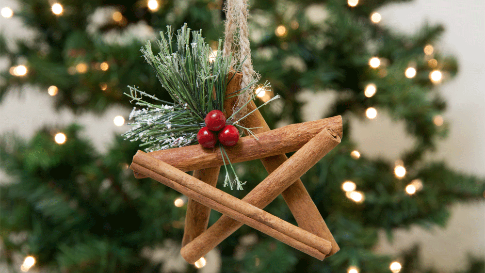DIY Cinnamon Stick Star Ornament