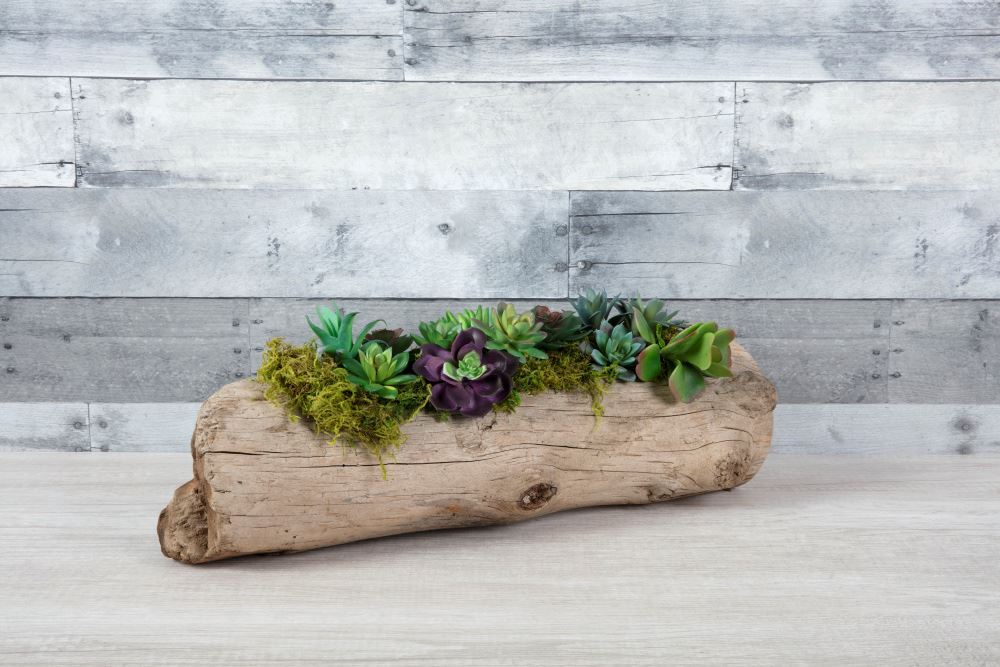DIY Driftwood Succulent Planter