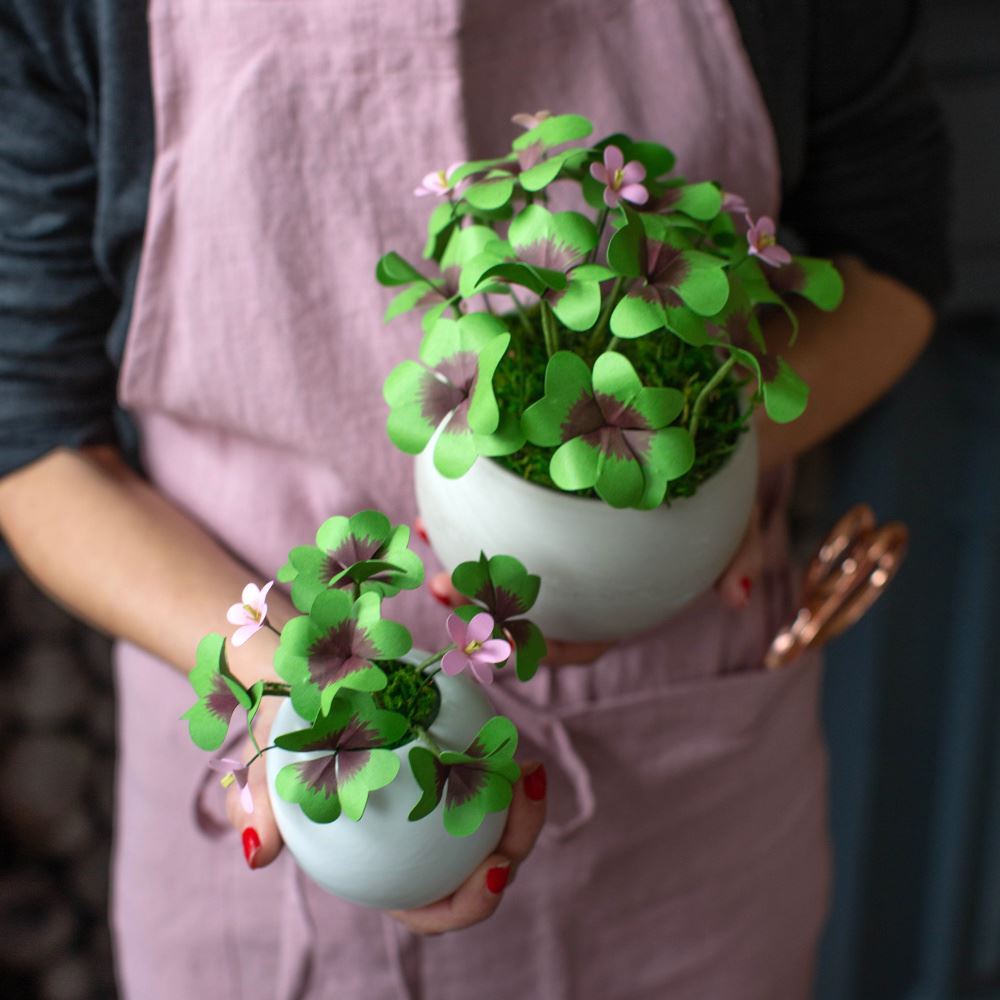 Pretty Paper Clover Plants DIY