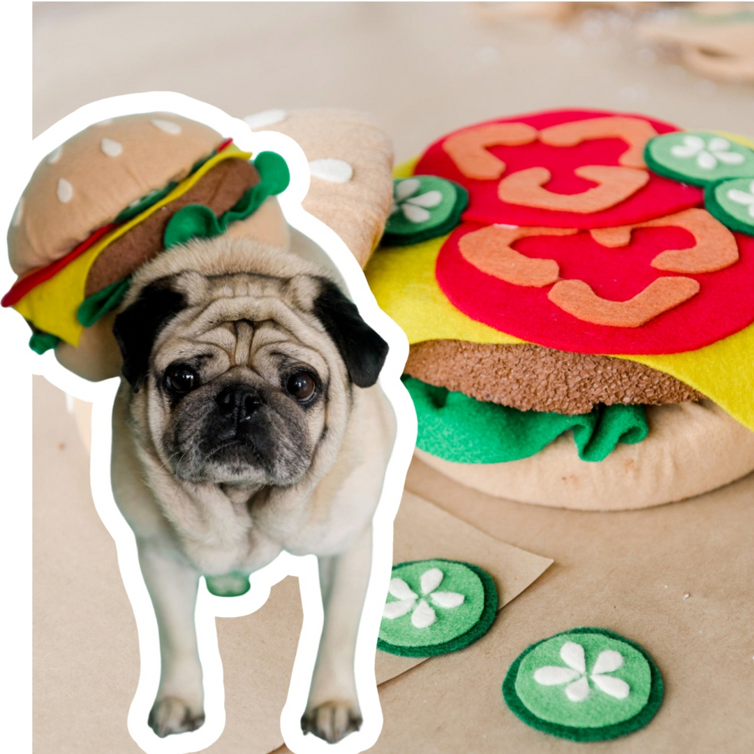 Dog on sandwich costume 