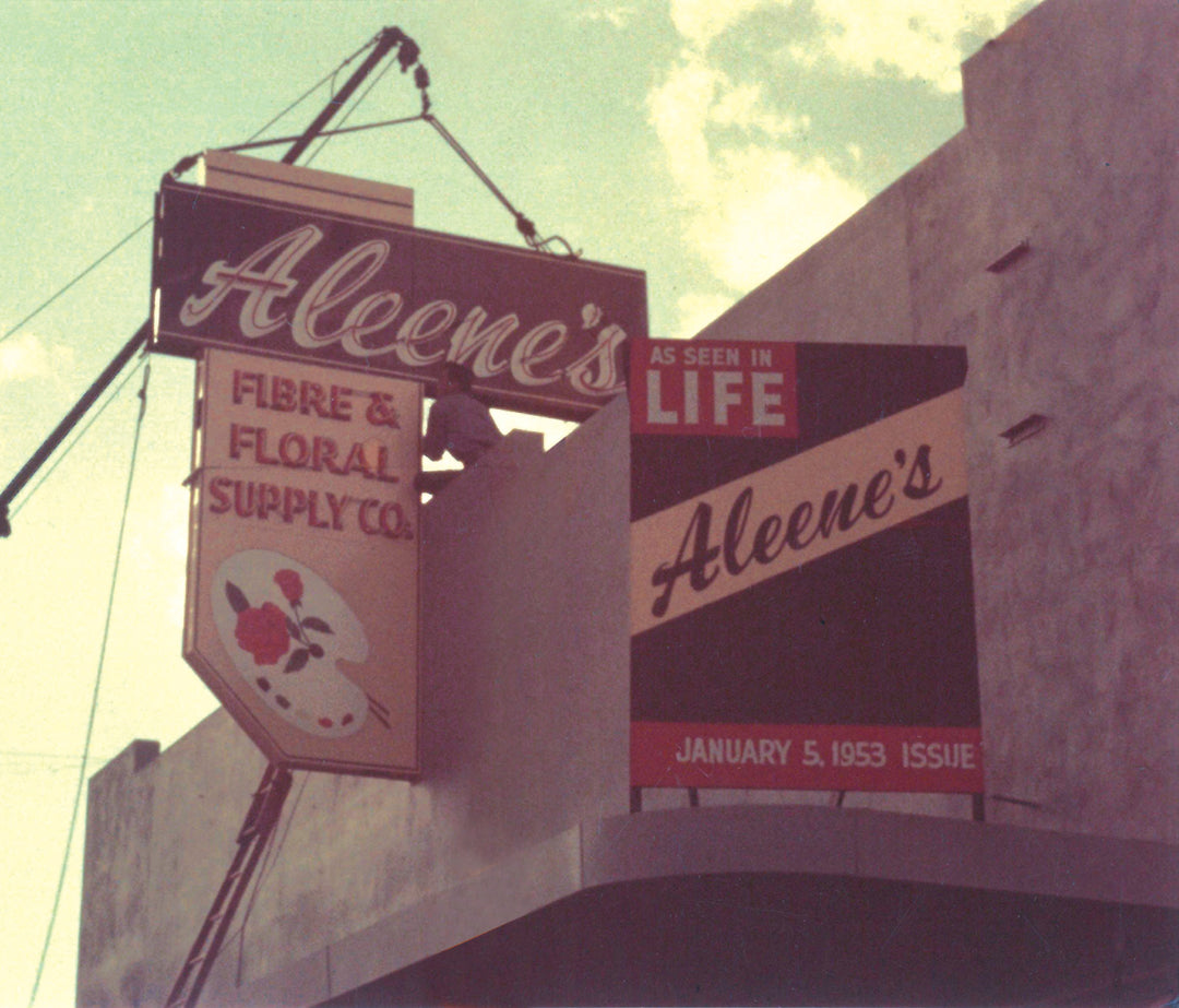 Aleene’s Fibre & Floral Supply Co. storefront featuring vintage signage. A large sign reading 'Aleene’s' is mounted above the entrance, with an additional sign displaying 'As Seen in LIFE – January 5, 1953 Issue.' The store appears to be a craft and floral supply business, and a worker is seen installing or maintaining the signage.