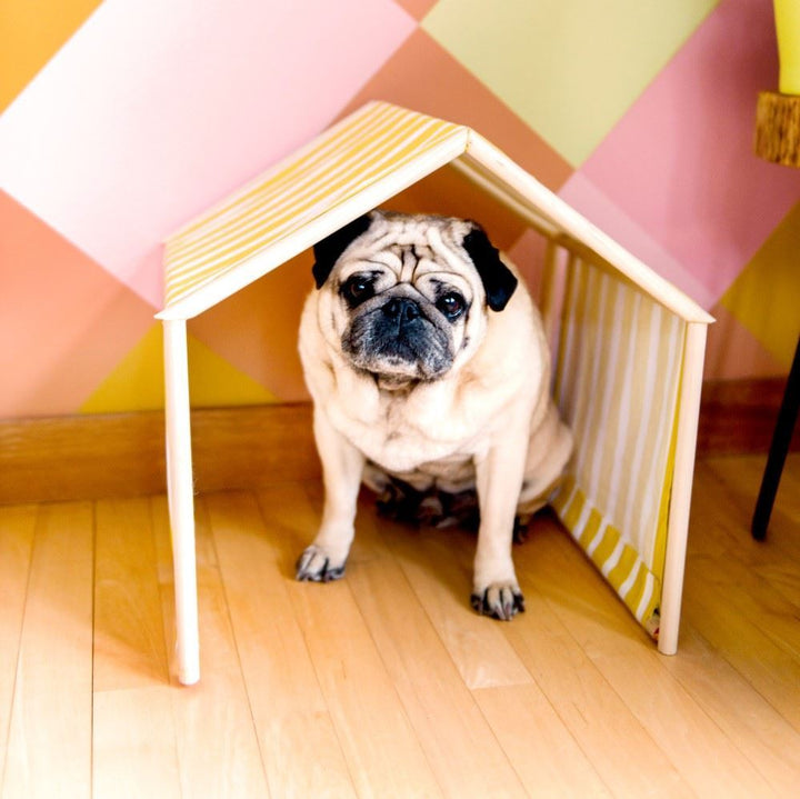 Pug on a dog house made with Aleene's 5/8-inch Fabric Fusion Permanent Fabric Tape 15 ft. 